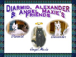 Diarmid, Alexander & Angel Maxie's Friends