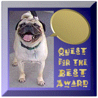 Quest for the Best / The former URL is no longer valid!
