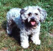 Max