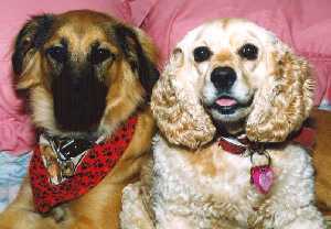 Maxie and Lady