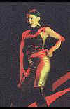 Bardot 304