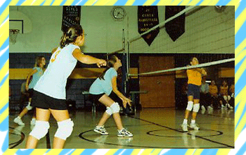 pic: jr. varsity girls volleyball