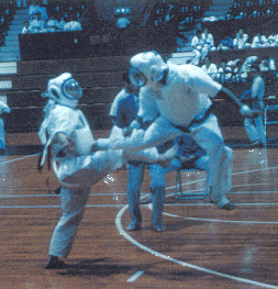 Karate Fighters in bogu