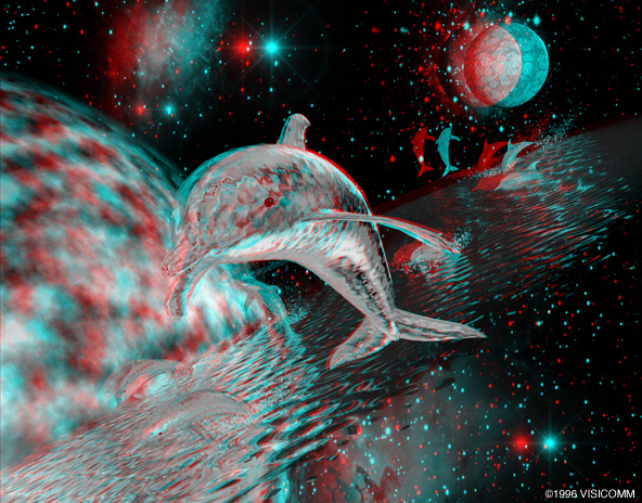 Dolphins In Space
