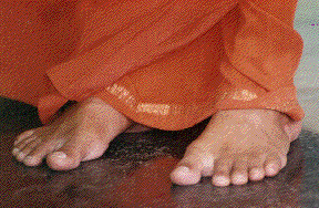 CLICK ON THE FEET TO ENTER FOR HIS DIVYA DARSHAN