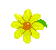 flowerdaisyAni.gif (7521 bytes)