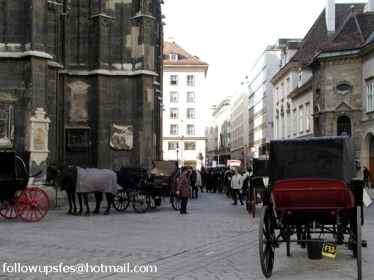 Parada de cocheros en la parte trasera de la catedral de S. Esteban.