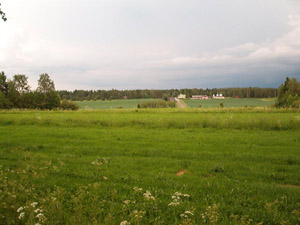  - lystila2