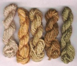 skeins dyed with natural dye stuff