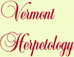 Vermont Herpetology