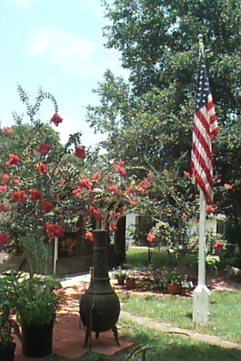 backyard