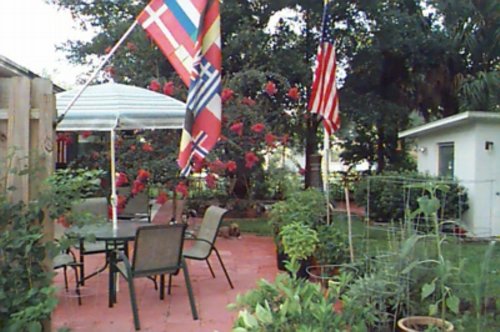 Backyard