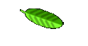 CHAVEIRO