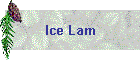 Ice Lam