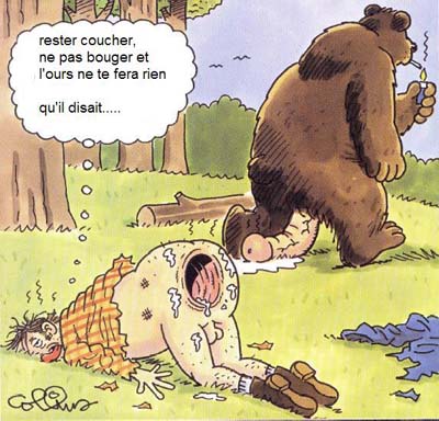 Sex toon porno homoseksuaaliseen karhu Sex toon porno homoseksuaaliseen karhu