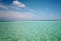 Gillam Bay, on Green Turtle in the Abacos. This is on the ocean side.