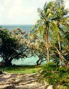 Walker's Cay back porch