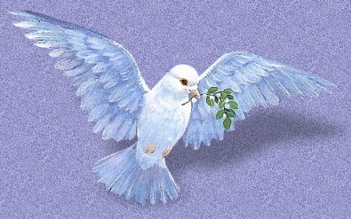 dove