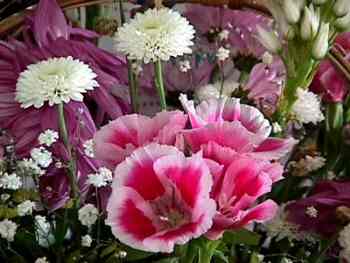 Custom user image number 2.