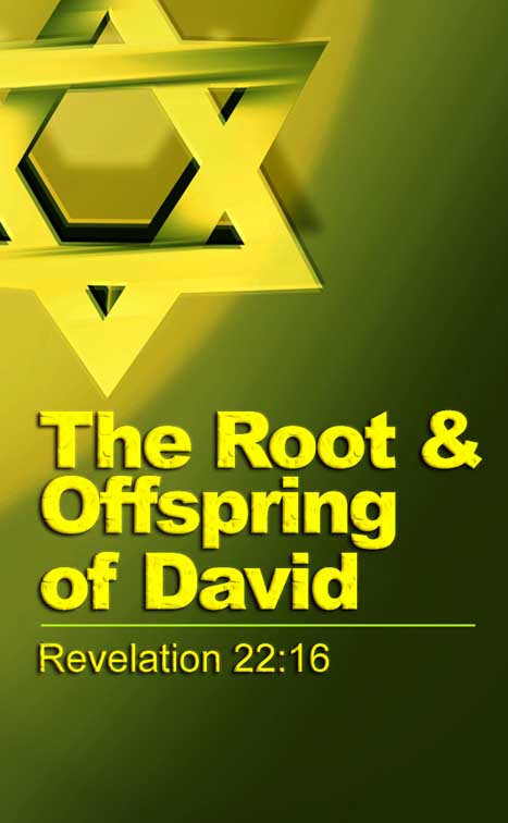 The Root And Offspring Of David