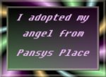 I Adopted My Angel From Pansy's Place