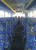 South African Coach Tours Pictures