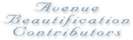 avenue beautification image