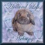 Holland Lop Webring