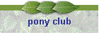 pony club