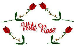 The name of our band, Wild Rose