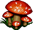 a color shifting mushroom cluster