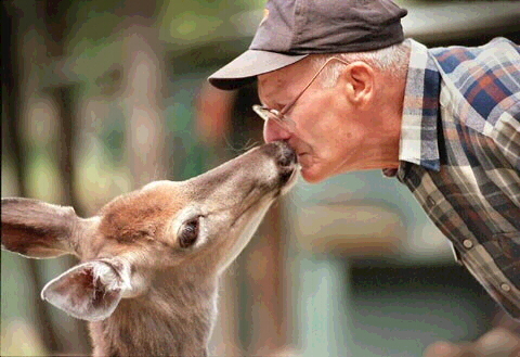Man and Deer Kissing