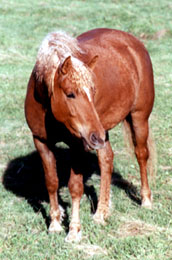 Always Natasha in May 2001