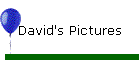 David's Pictures