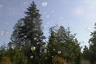 Bubbles floating away into the sky.