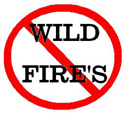No Wild fires