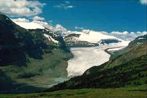 Saskatchewan Glacier as seen from Parker Ridge