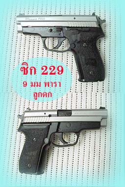 Sig 229 - Two Tone - 9 mm Parabellum