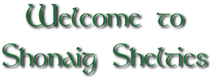 Welcome to the Shonaig Home Page!