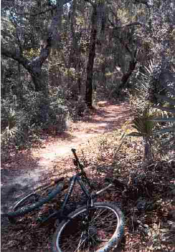 Typical Trail