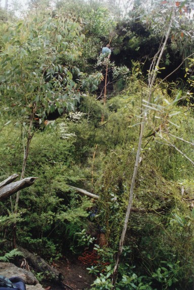 Shaort abseil