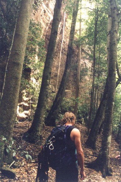 The lost world