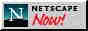 Get Netscape Now!
