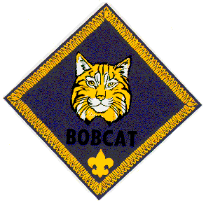 BobcatColor.GIF (21667 bytes)