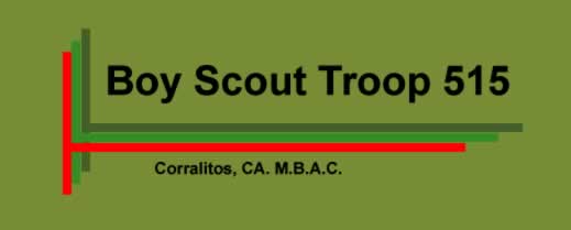 Boy Scout Troop 515