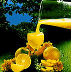orange juice pic