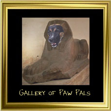 Gallery of Paw Pals!