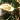 Guantanamera1.zip...Spanish Guitar...Uploaded02/12/99
