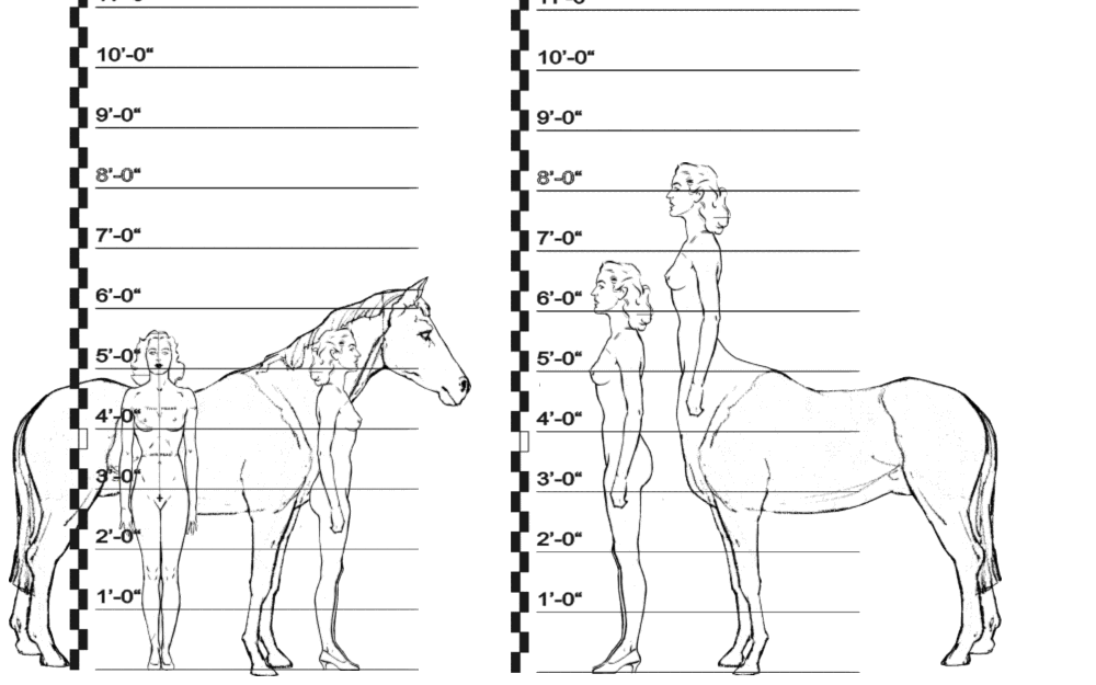 centaur-news-network-pacific-northwest-edition-misty-s-ramblings