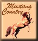 Mustang Country